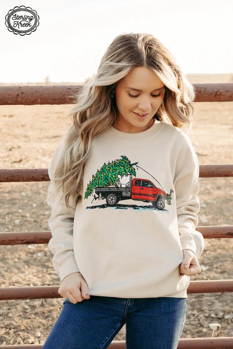 PLUS Cake Wagon Christmas Sweater